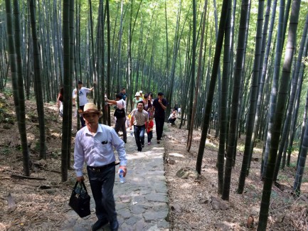 宜興竹海一日游